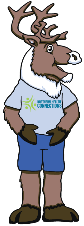 Spirit the Northern Health Mascot